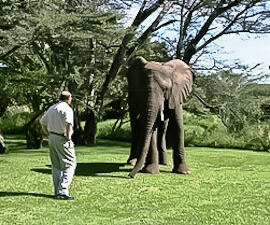 Q&A with Lawrence Anthony, author of The Elephant Whisperer